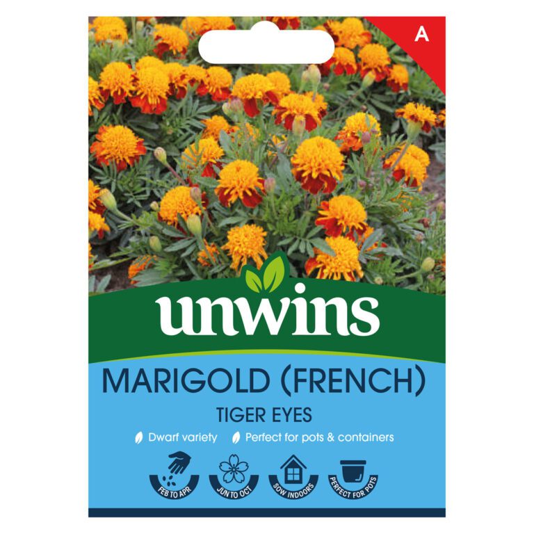 5051618035675 1 Marigold French Tiger Eyes Seeds.jpg